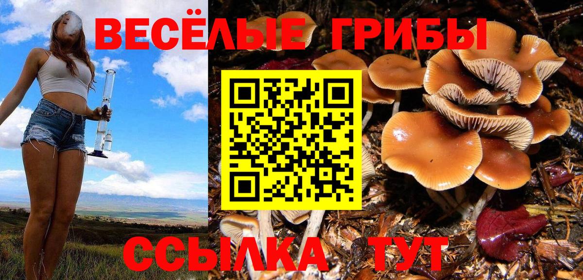 Соль-Илецк  Галлюциногенные грибы Cubensis  Галлюциногенные грибы Magic Shrooms  Вход с VPN 