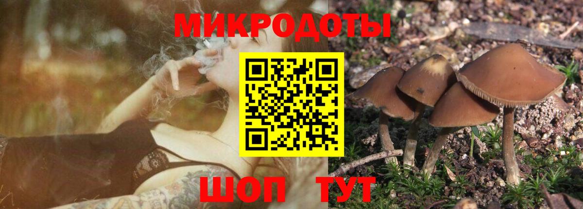 Галлюциногенные грибы Magic Shrooms Соль-Илецк